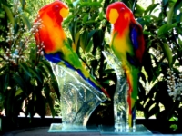duo urn vogels glas beelden