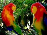 duo urnen vogels glas kleur