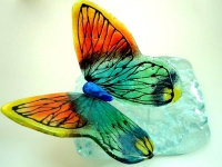 vlinder urn glas klein