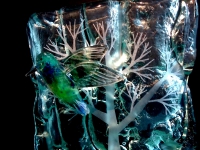 unieke vogel urn kolibrie glas