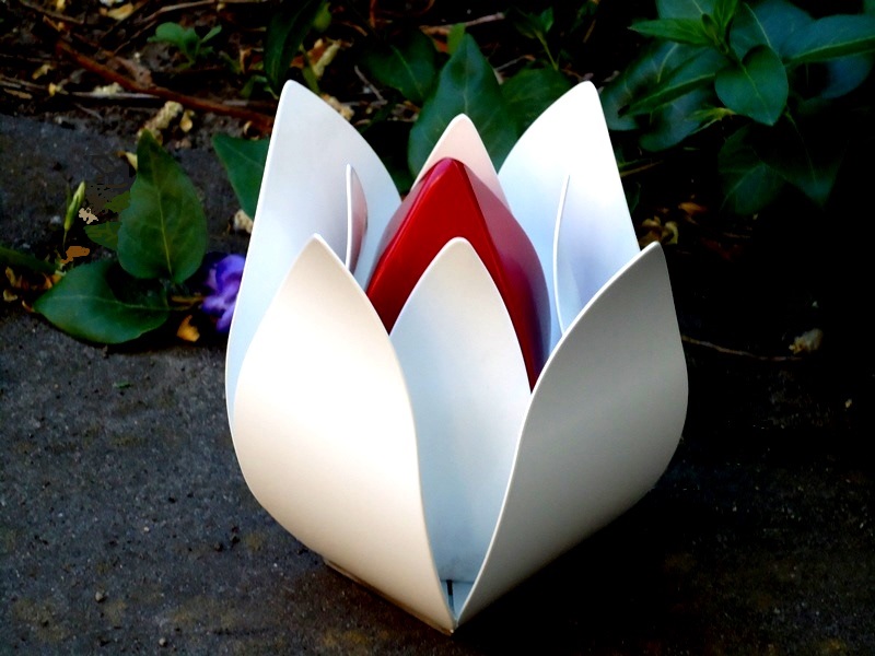 as herinneringen roos tulp klein