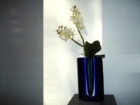 herinneringsobject vaas orchidee glas