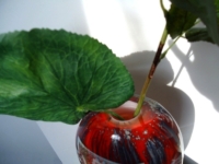 gedenkobject as herinnering glas vaas